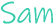 Sam Logo
